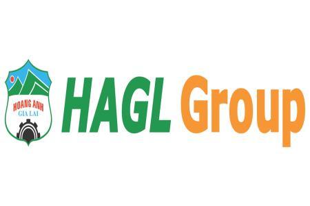 hagl-group.jpg